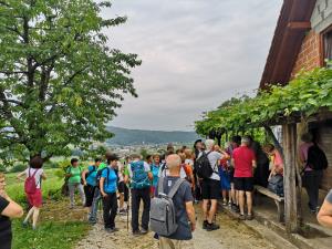 6. Kozarček cvička pri zidanici J. Barbo v Češencah.